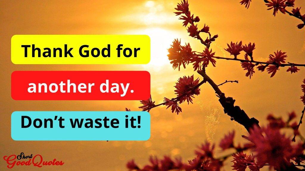 Thank god for another day. Do't waste it.