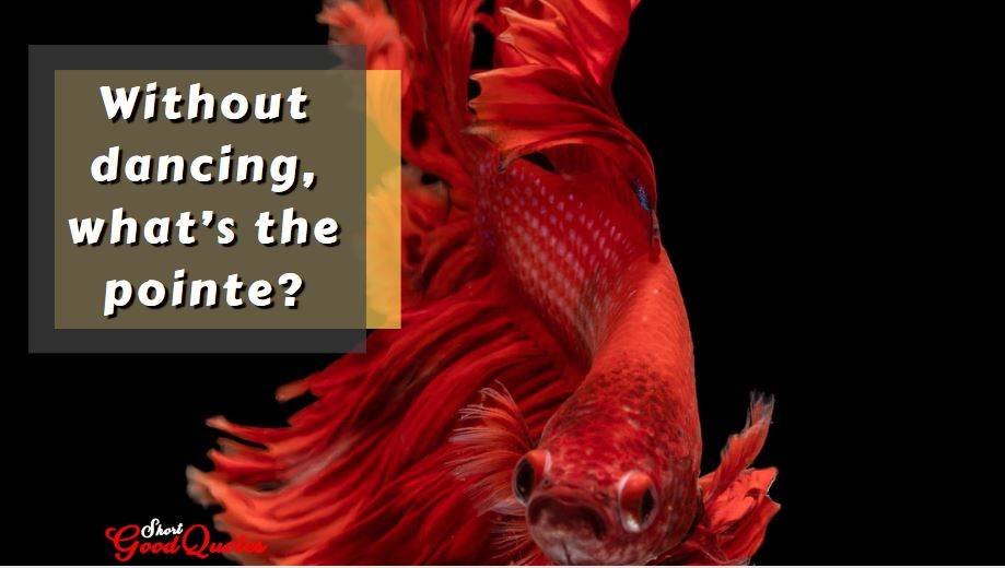 short dance quotes and sayings