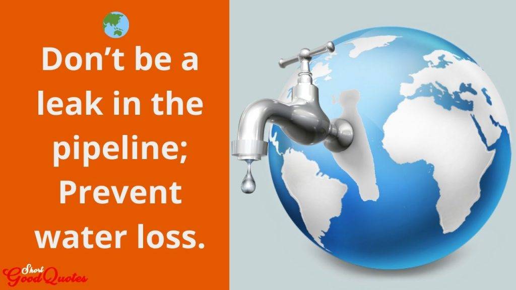 Save Water Quotes