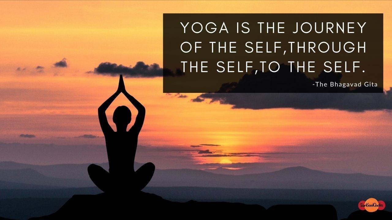 55 Motivational Yoga Quotes about Life & Empowering Yoga – ShortGoodQuotes