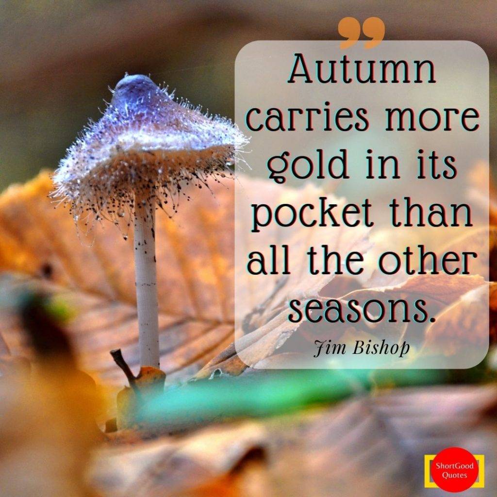 autumn quotes inspirational