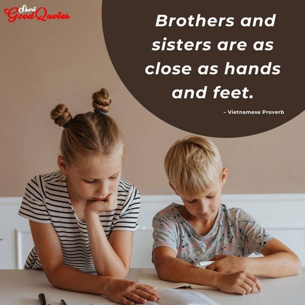 Brother Quotes from Sister