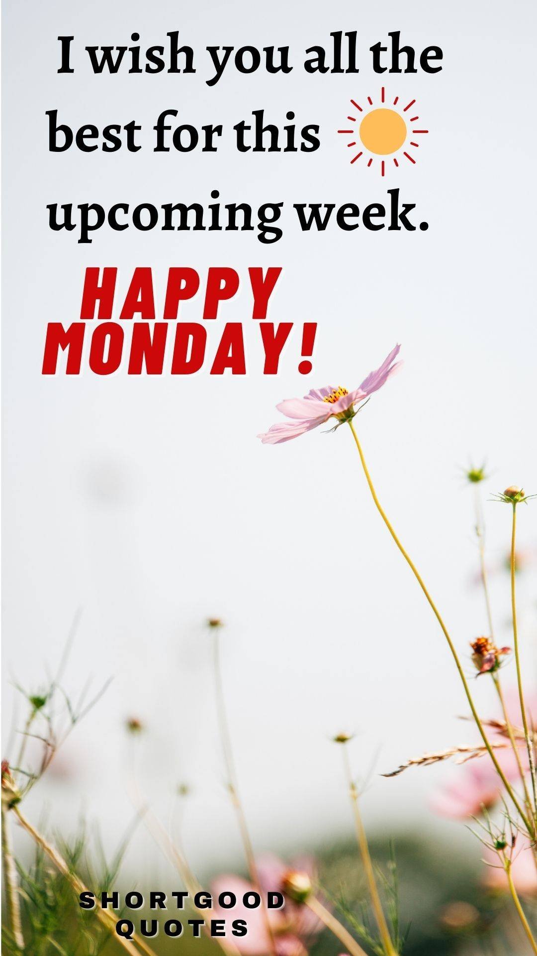 Happy Monday Quotes, Funny Messages & Monday Wishes – ShortGoodQuotes