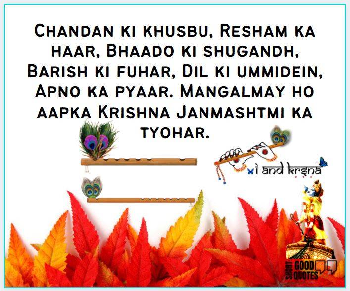 lord krishna blessing quot