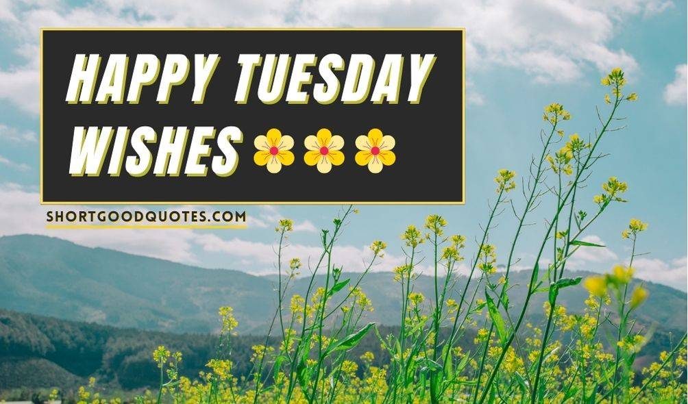 Tuesday Messages : Happy Tuesday Wishes and Quotes