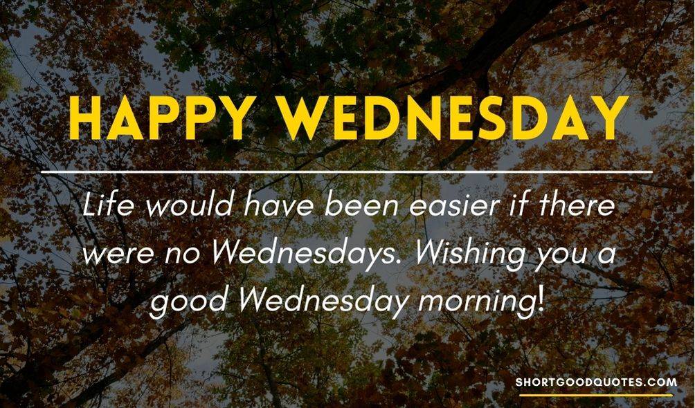 Funny Wednesday Wishes