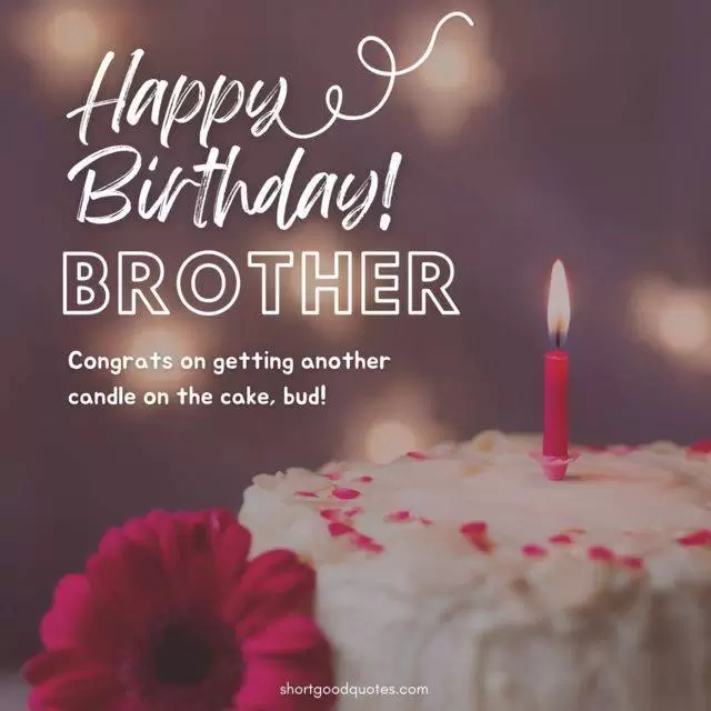 Brother Birthday Wishes From Sister