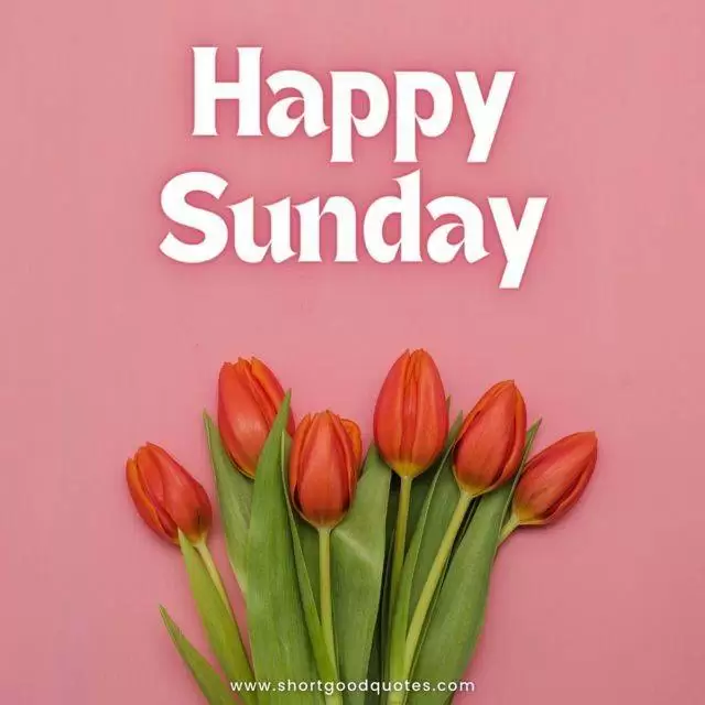 70+ Happy Sunday Wishes, Messages, Greetings and Quotes - ShortGoodQuotes