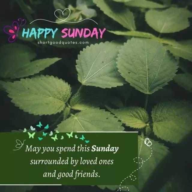 70+ Happy Sunday Wishes, Messages, Greetings and Quotes - ShortGoodQuotes