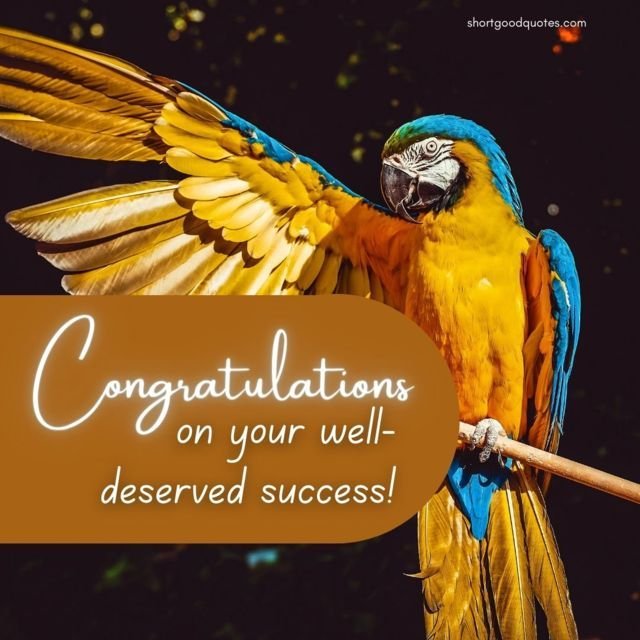 Congratulations Wishes