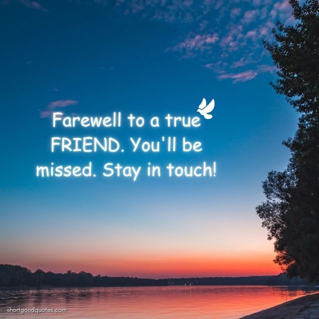 100 Heartfelt Farewell Messages, Quotes and Wishes - ShortGoodQuotes
