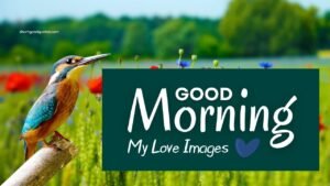 60+ Good Morning My Love Images: Wishes & Quotes