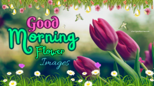 Good Morning Flower Images
