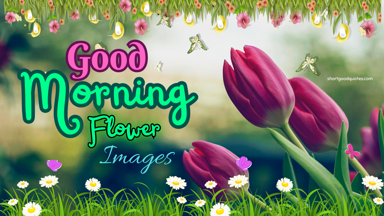 Flowers Good GIF - Flowers Good Morning - Discover & Share GIFs