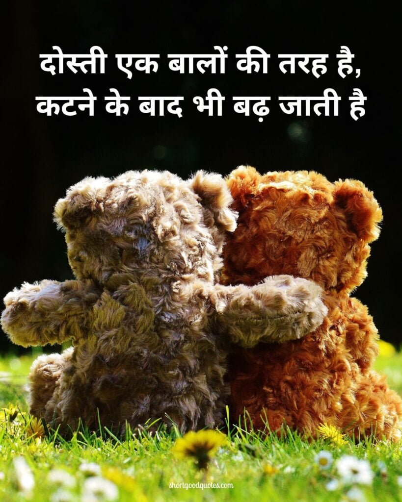 Funny Friendship Shayari