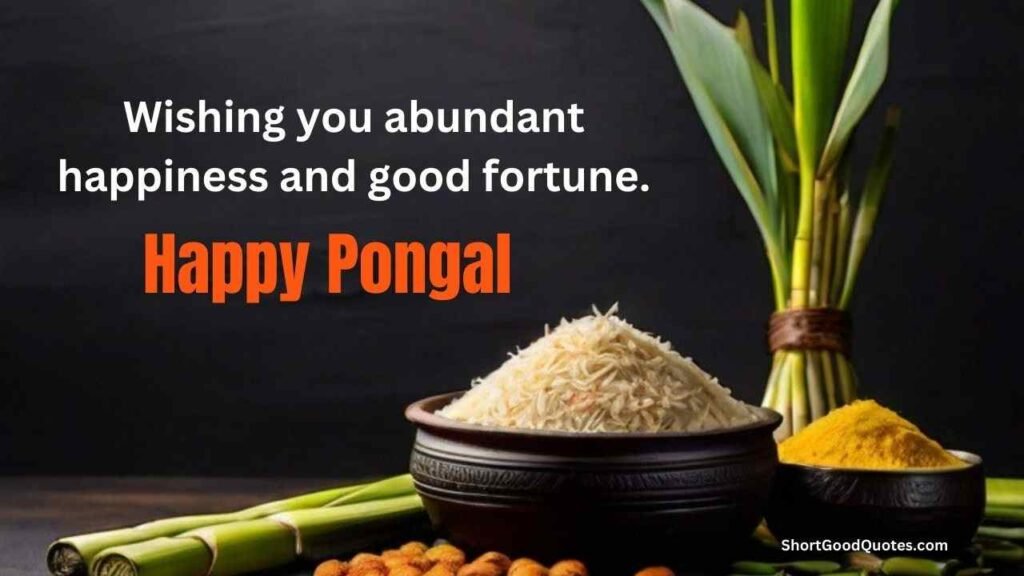 Happy Pongal wishes