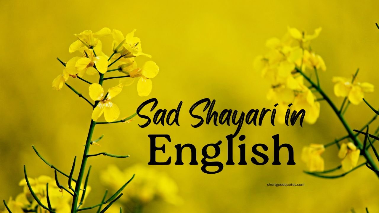 70+ Heart Touching Sad Shayari in English