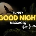 Funny Good Night Messages for Friends in English