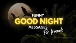 Funny Good Night Messages for Friends in English