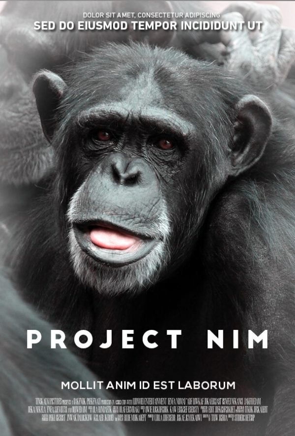 Under a Firefly Moon (Firefly Lake Book 1)